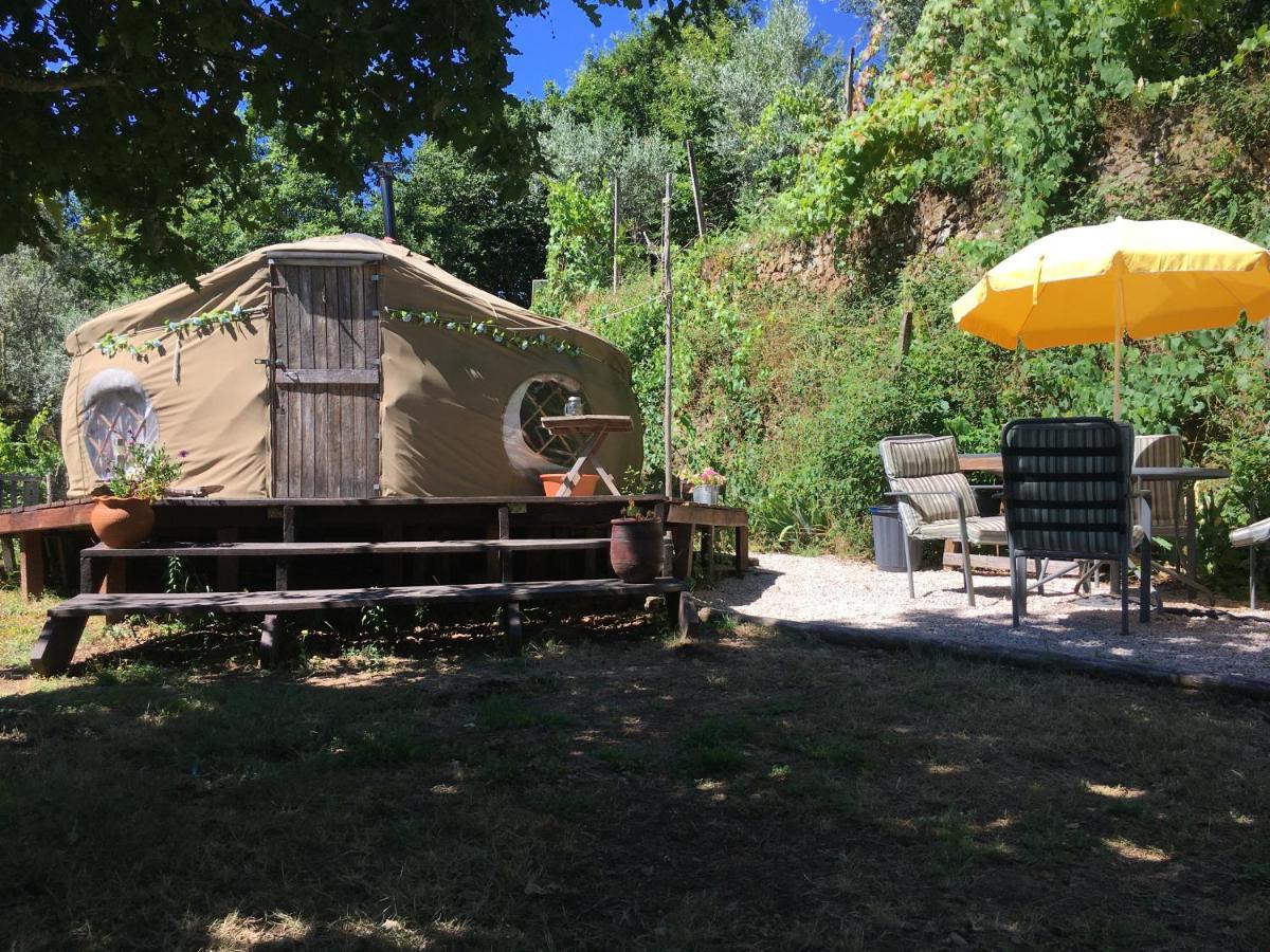 Star Gazing Luxury Yurt With River Views, Off Grid Eco Living Vale do Barco 외부 사진