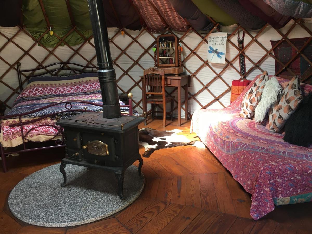 Star Gazing Luxury Yurt With River Views, Off Grid Eco Living Vale do Barco 외부 사진
