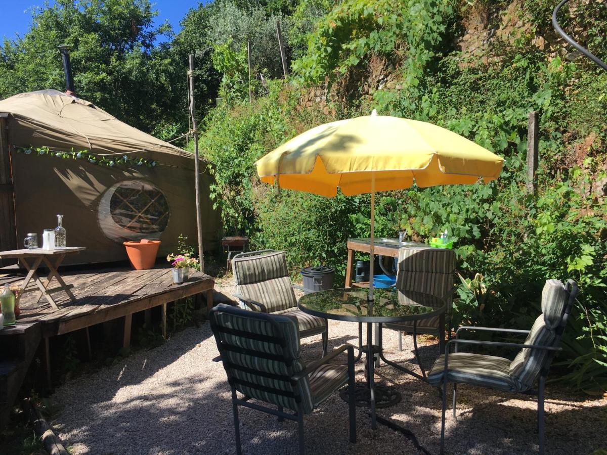 Star Gazing Luxury Yurt With River Views, Off Grid Eco Living Vale do Barco 외부 사진